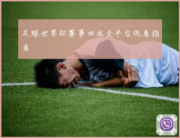 足球世界杯赛事回放全平台观看指南
